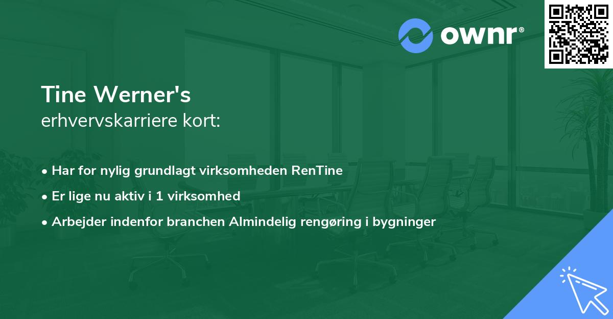 Tine Werner's erhvervskarriere kort