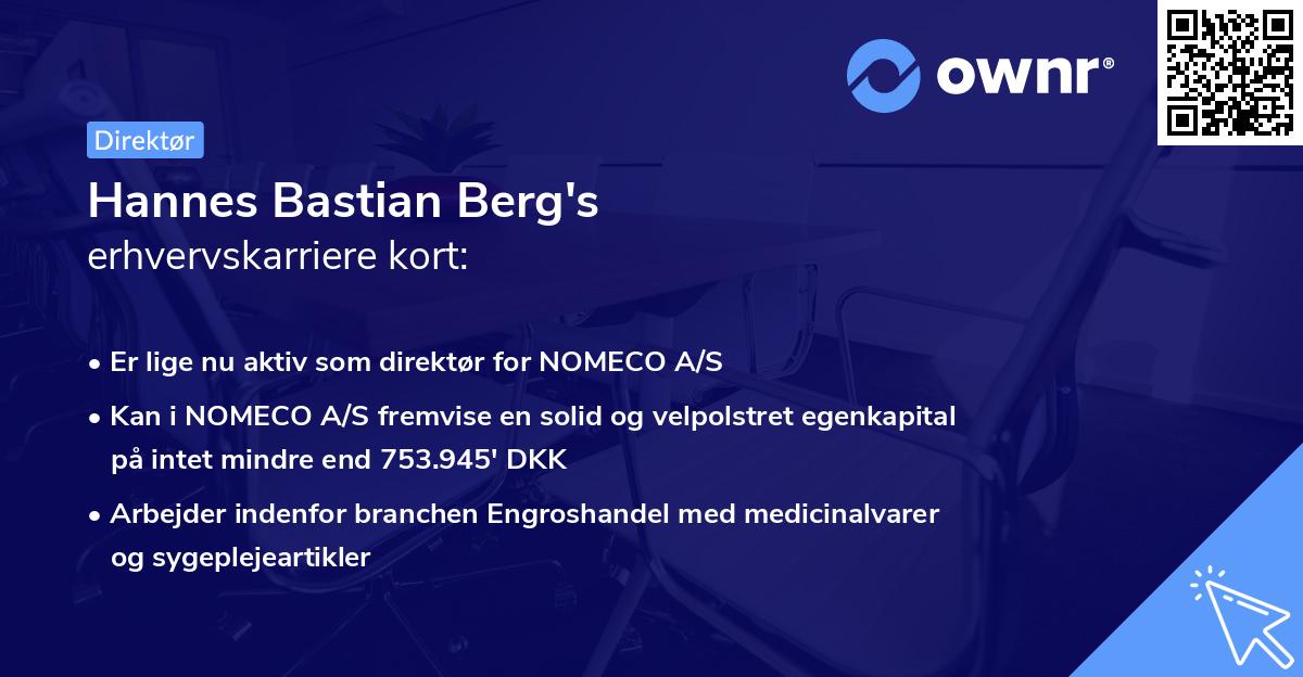 Hannes Bastian Berg's erhvervskarriere kort