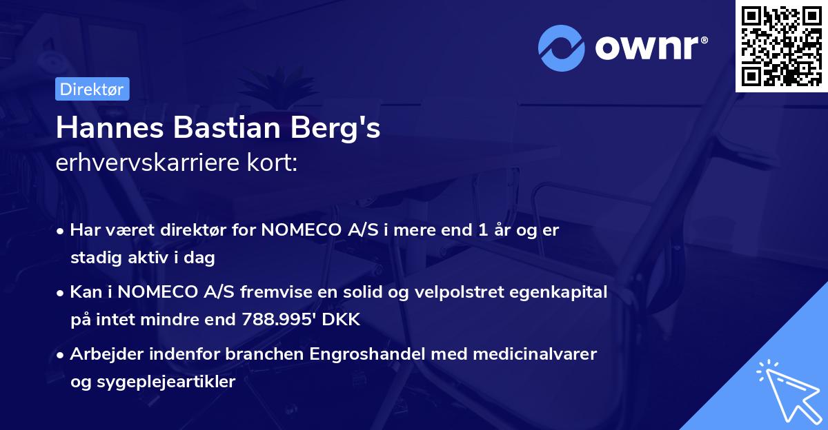 Hannes Bastian Berg's erhvervskarriere kort