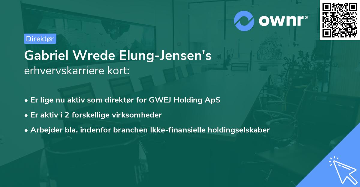 Gabriel Wrede Elung-Jensen's erhvervskarriere kort