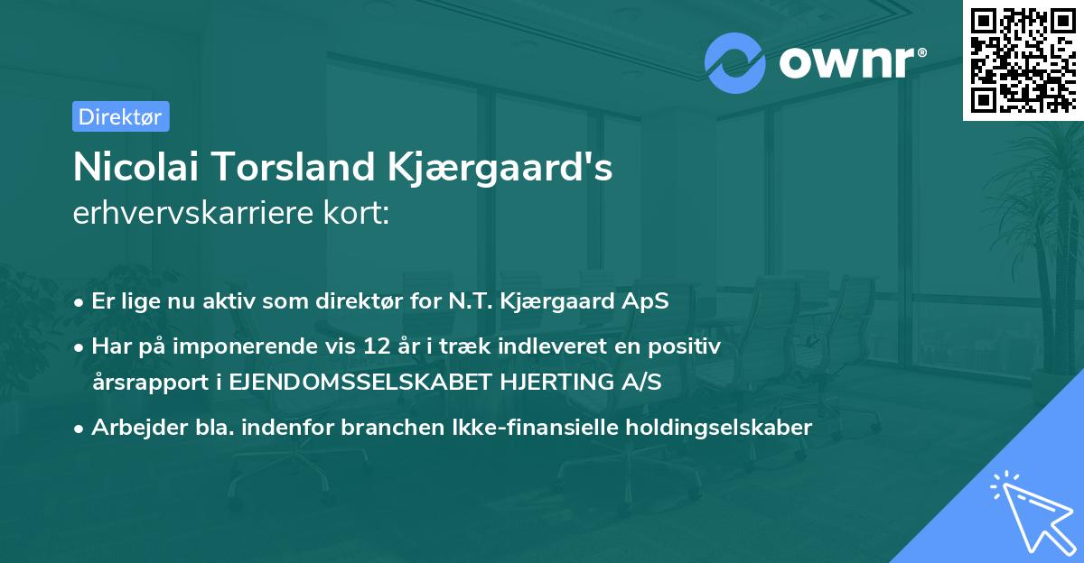 Nicolai Torsland Kjærgaard's erhvervskarriere kort