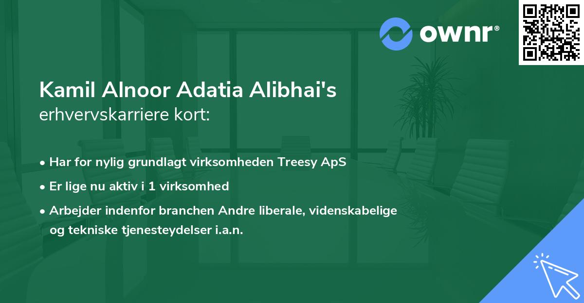 Kamil Alnoor Adatia Alibhai's erhvervskarriere kort