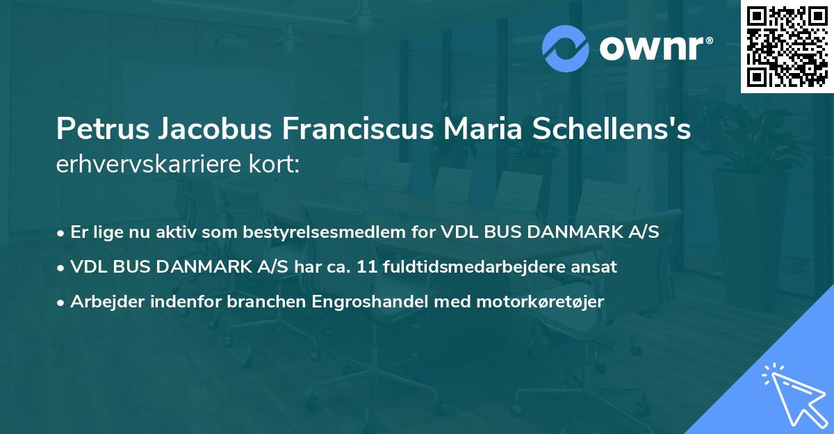 Petrus Jacobus Franciscus Maria Schellens's erhvervskarriere kort