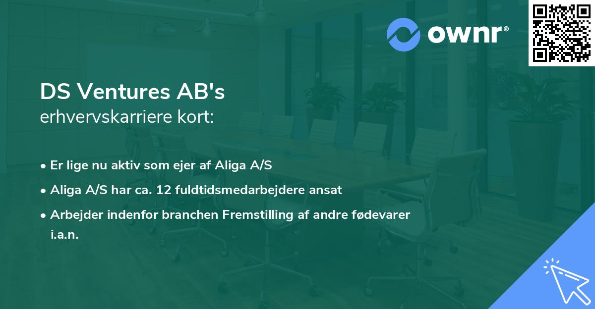 DS Ventures AB's erhvervskarriere kort