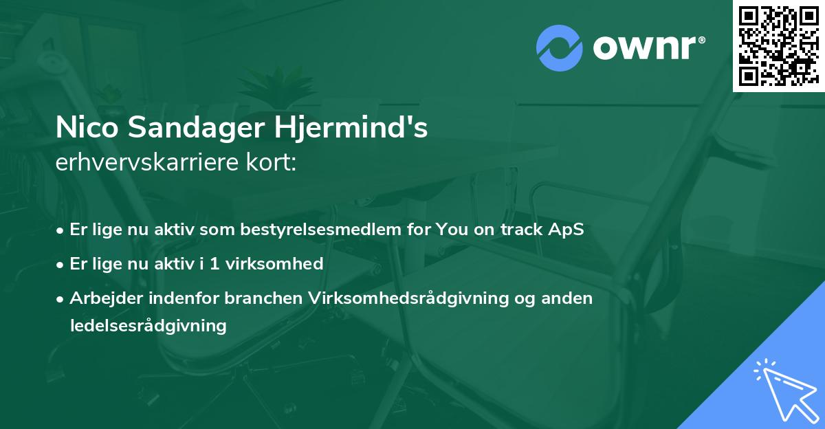 Nico Sandager Hjermind's erhvervskarriere kort