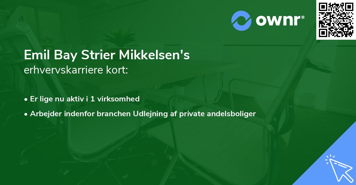 Emil Bay Strier Mikkelsen's erhvervskarriere kort