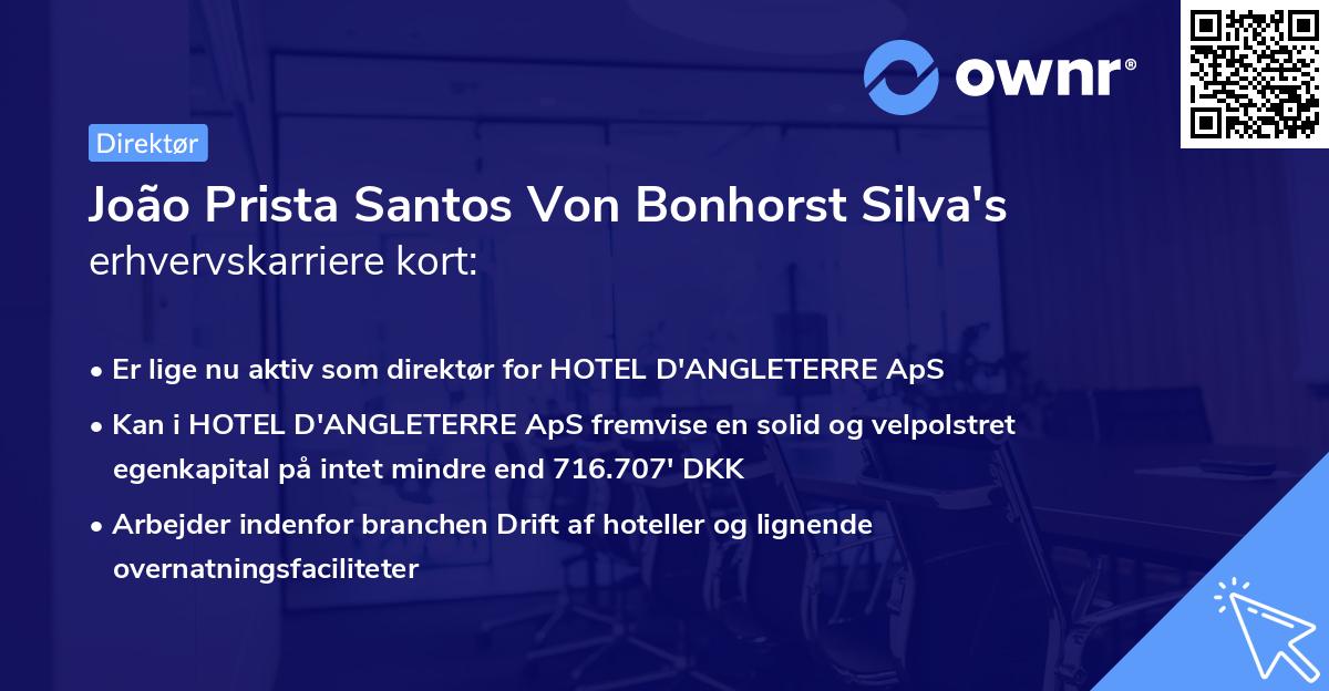 João Prista Santos Von Bonhorst Silva's erhvervskarriere kort