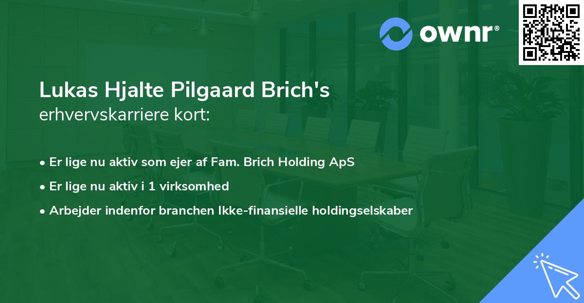 Lukas Hjalte Pilgaard Brich's erhvervskarriere kort