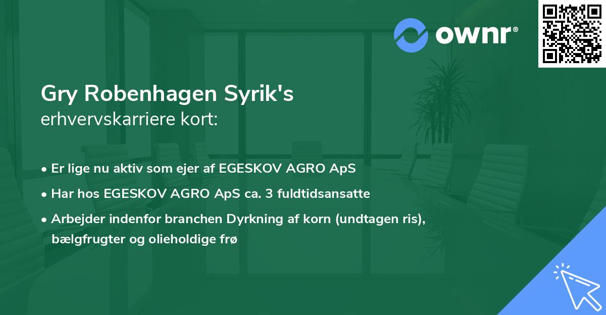 Gry Robenhagen Syrik's erhvervskarriere kort