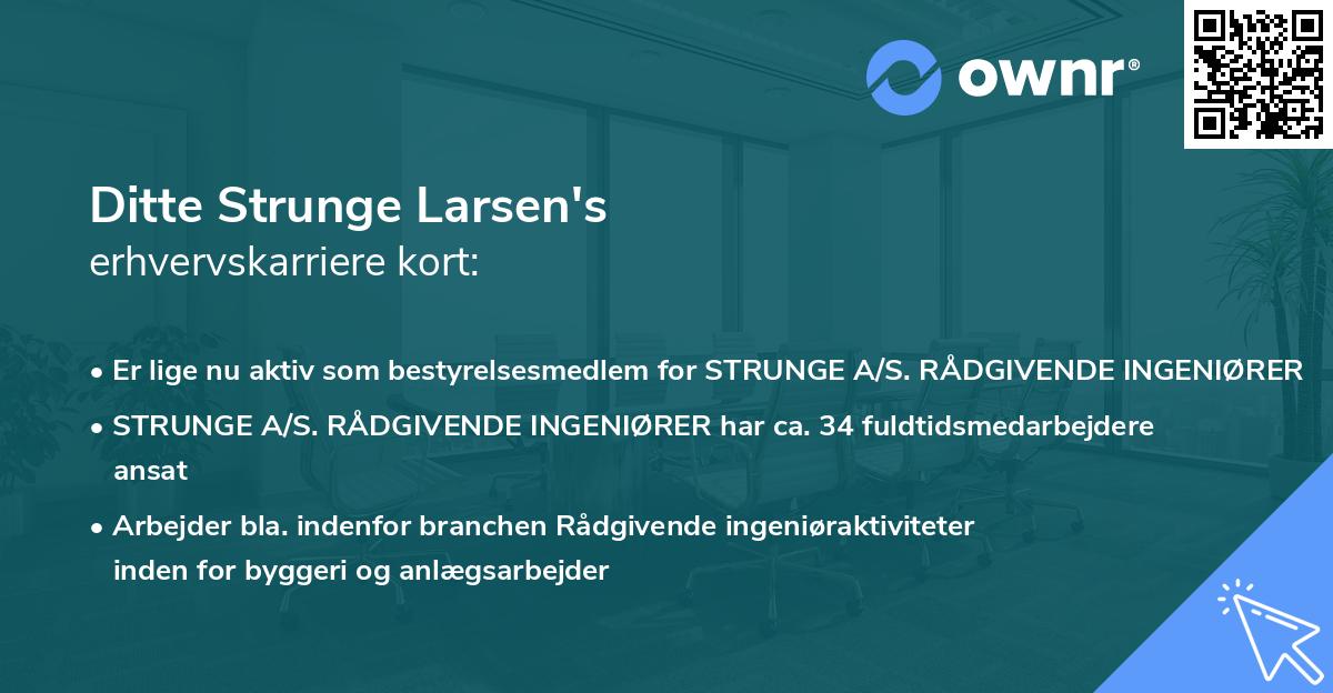 Ditte Strunge Larsen's erhvervskarriere kort