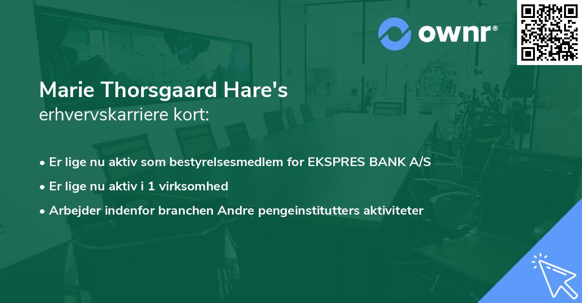 Marie Thorsgaard Hare's erhvervskarriere kort