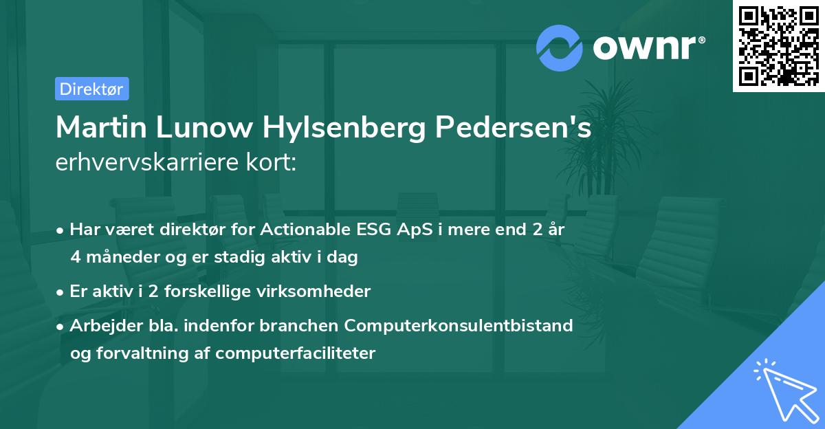 Martin Lunow Hylsenberg Pedersen's erhvervskarriere kort