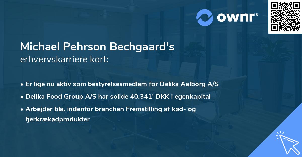 Michael Pehrson Bechgaard's erhvervskarriere kort