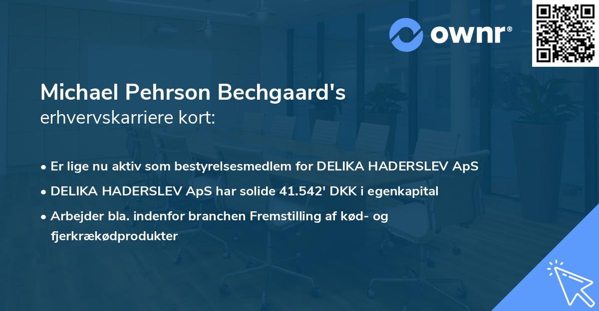 Michael Pehrson Bechgaard's erhvervskarriere kort