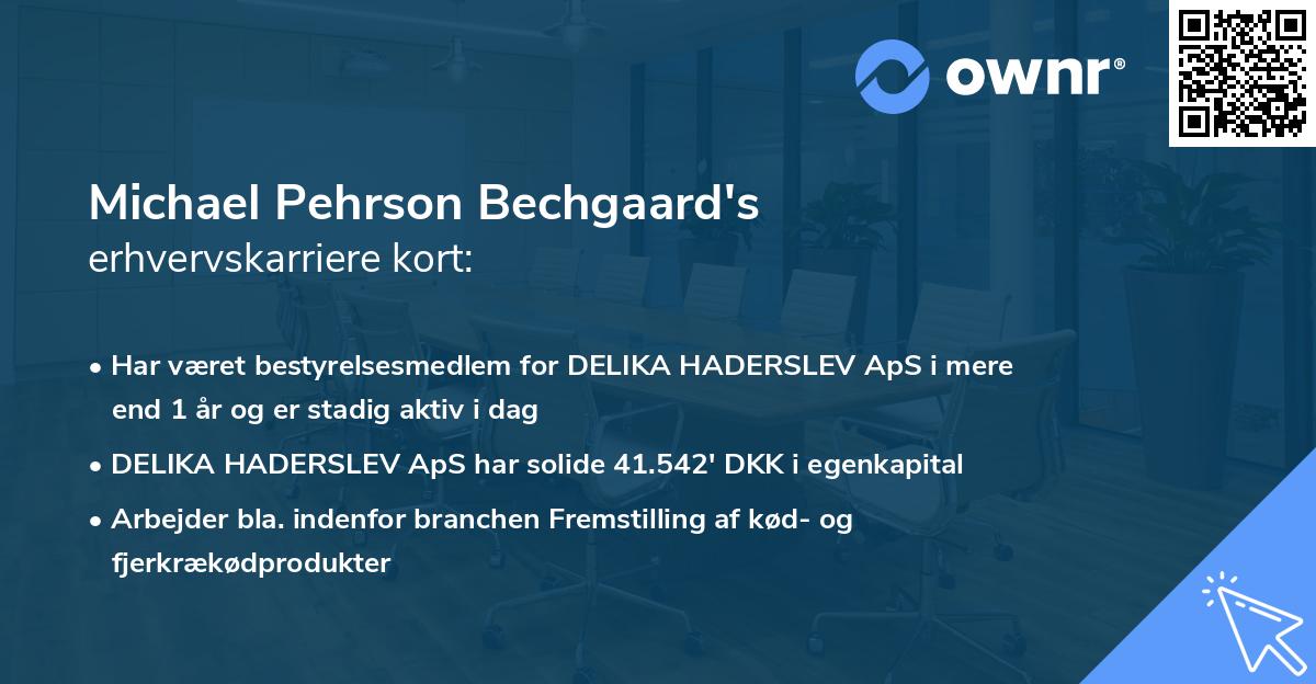 Michael Pehrson Bechgaard's erhvervskarriere kort