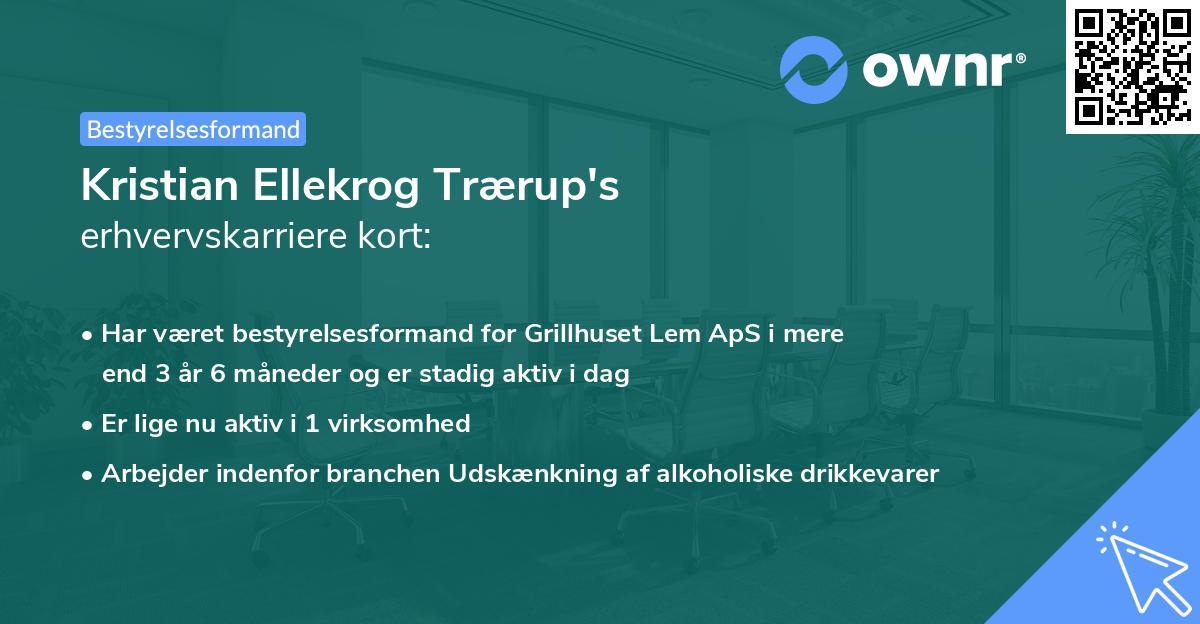 Kristian Ellekrog Trærup's erhvervskarriere kort
