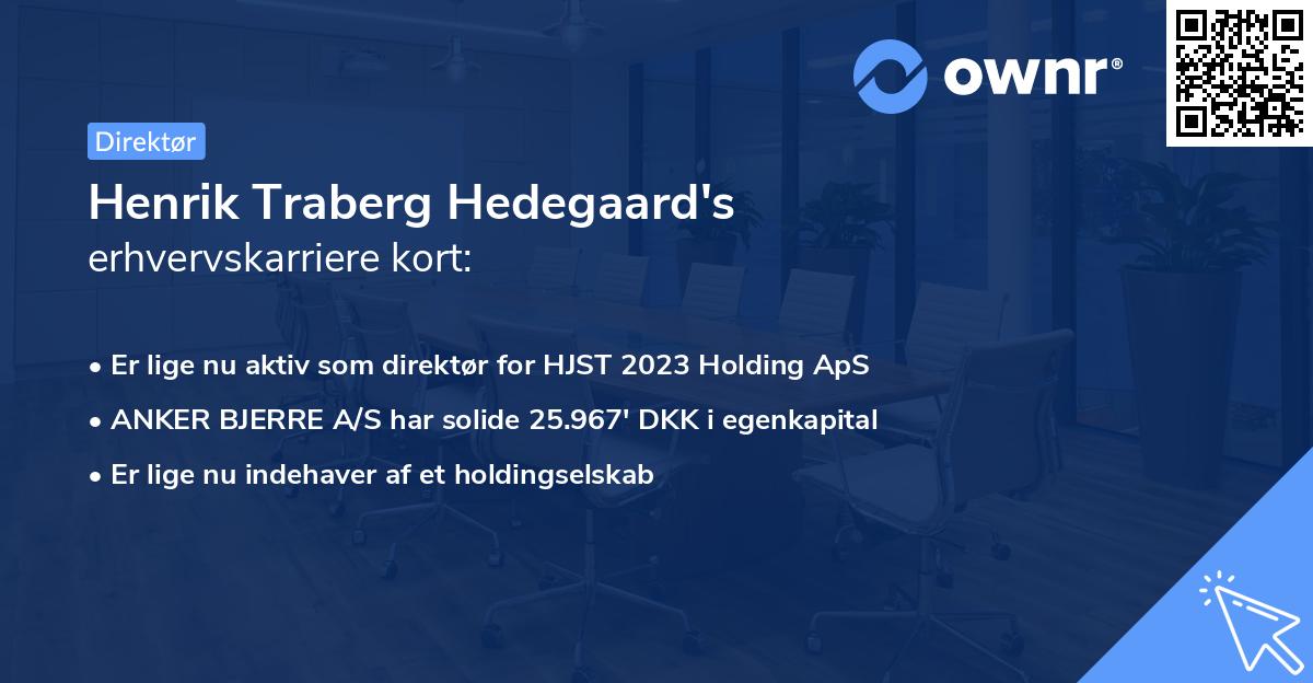 Henrik Traberg Hedegaard's erhvervskarriere kort
