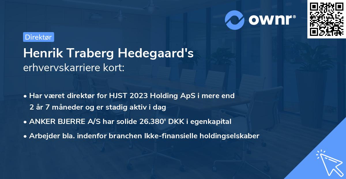 Henrik Traberg Hedegaard's erhvervskarriere kort