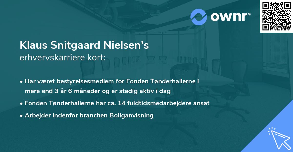 Klaus Snitgaard Nielsen's erhvervskarriere kort
