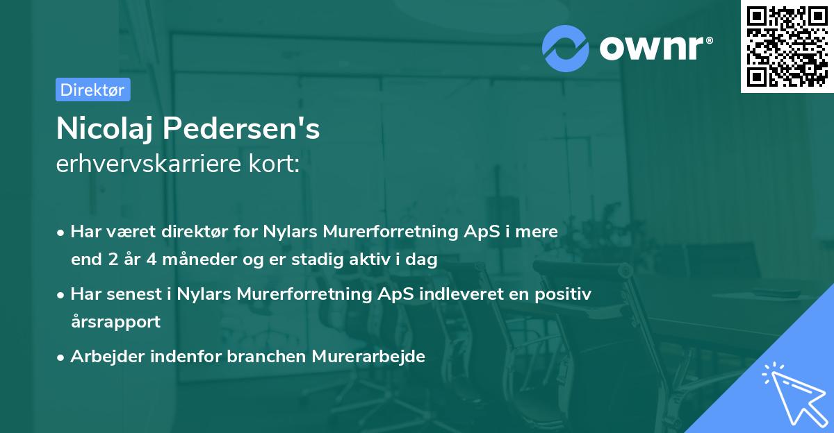 Nicolaj Pedersen's erhvervskarriere kort