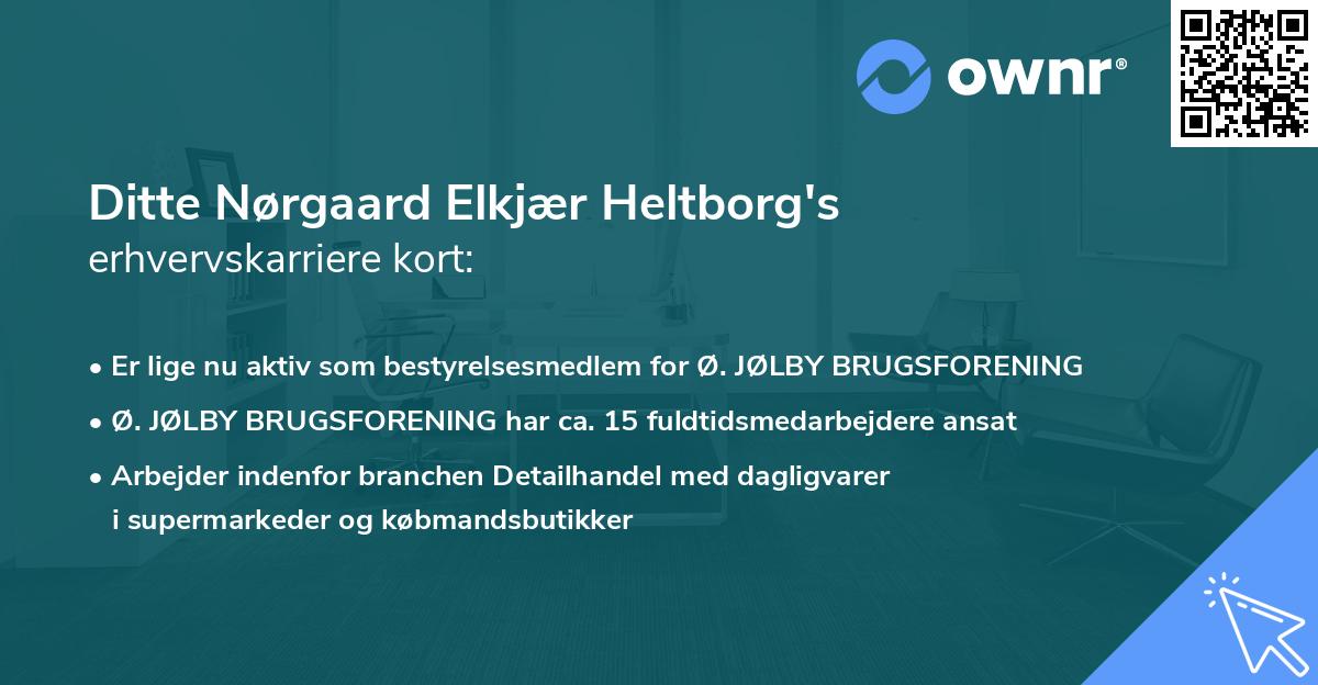Ditte Nørgaard Elkjær Heltborg's erhvervskarriere kort