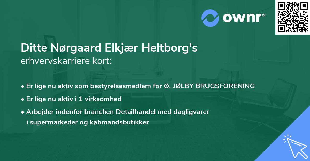 Ditte Nørgaard Elkjær Heltborg's erhvervskarriere kort