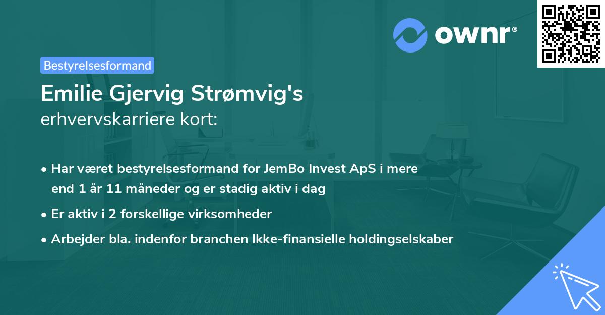 Emilie Gjervig Strømvig's erhvervskarriere kort