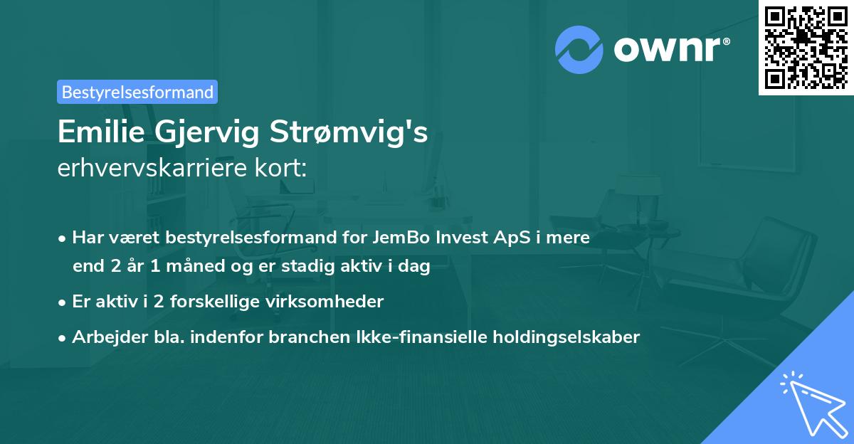 Emilie Gjervig Strømvig's erhvervskarriere kort