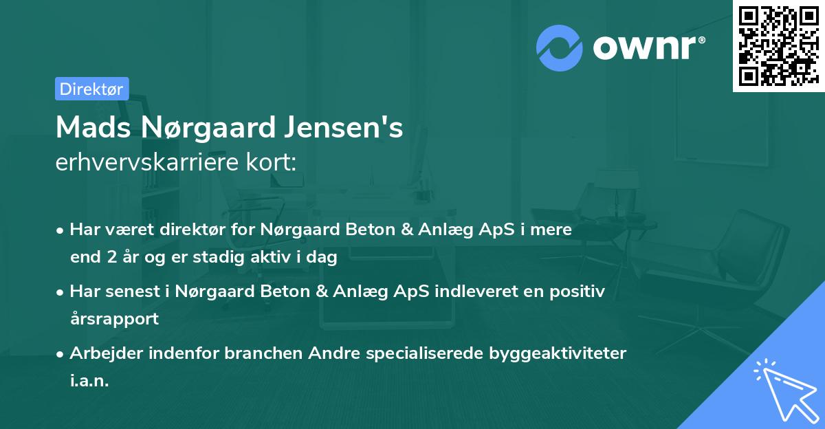 Mads Nørgaard Jensen's erhvervskarriere kort