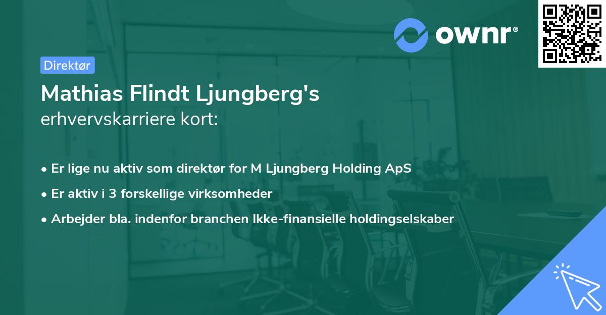 Mathias Flindt Ljungberg's erhvervskarriere kort