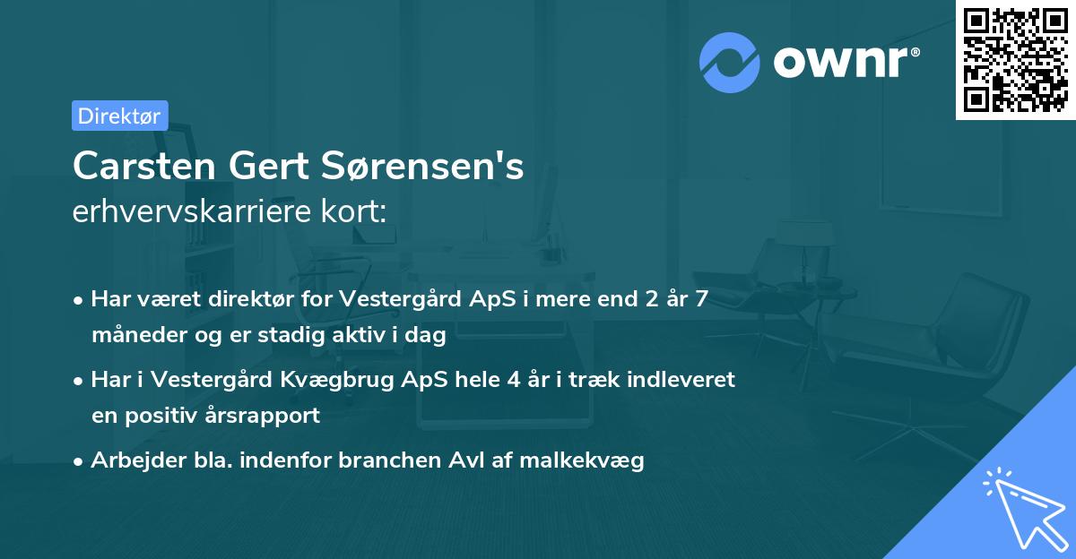 Carsten Gert Sørensen's erhvervskarriere kort