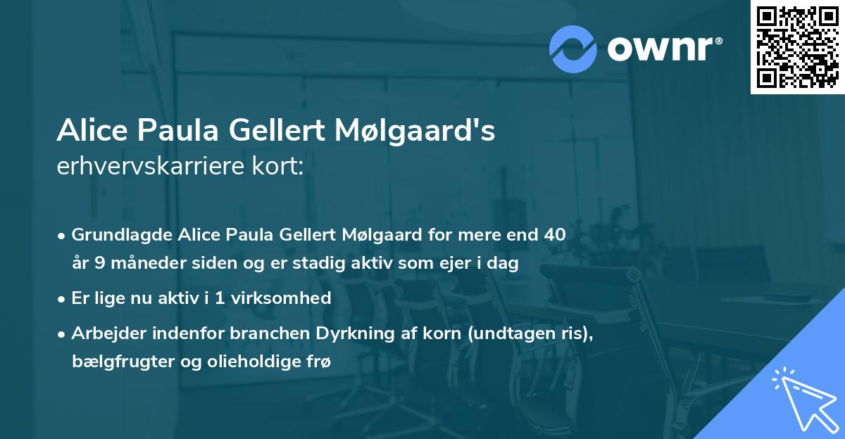 Alice Paula Gellert Mølgaard's erhvervskarriere kort