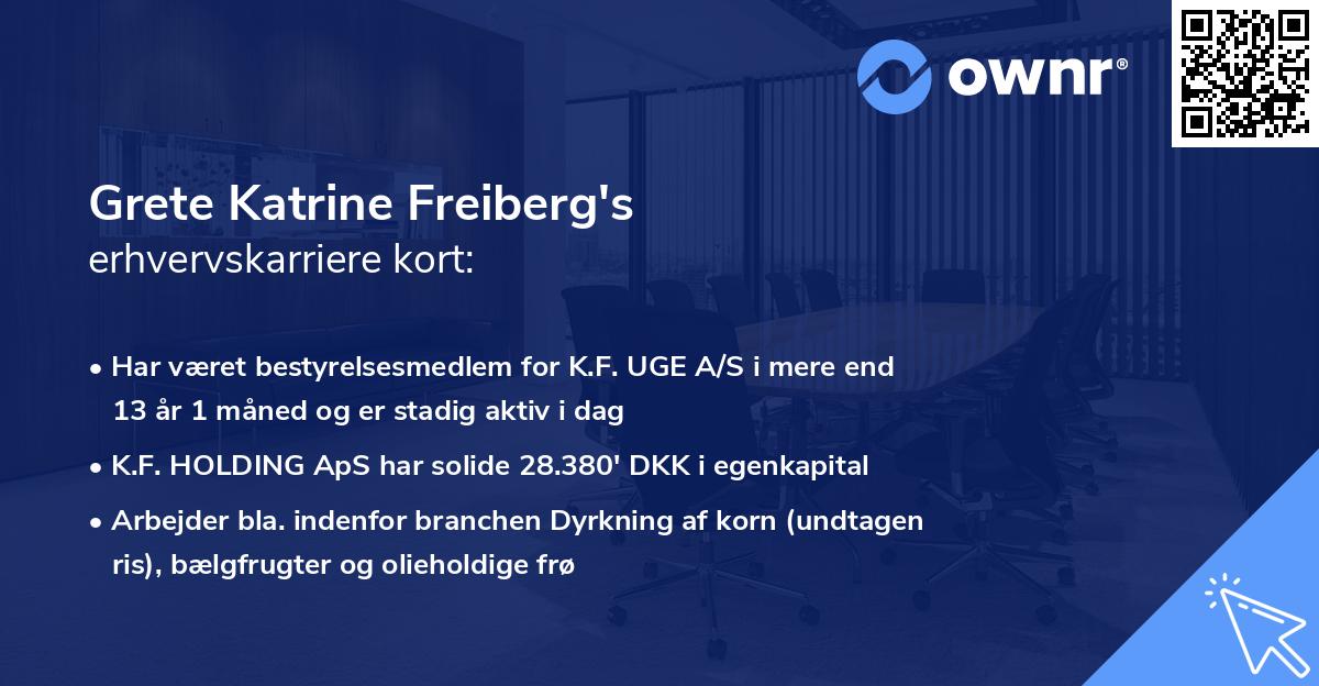 Grete Katrine Freiberg's erhvervskarriere kort