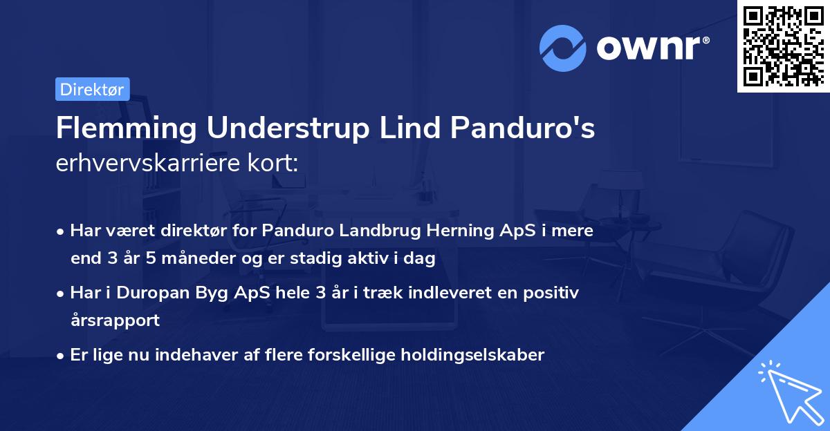 Flemming Understrup Lind Panduro's erhvervskarriere kort