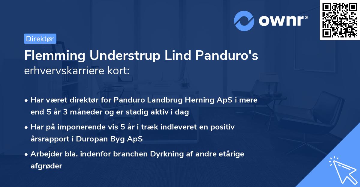 Flemming Understrup Lind Panduro's erhvervskarriere kort