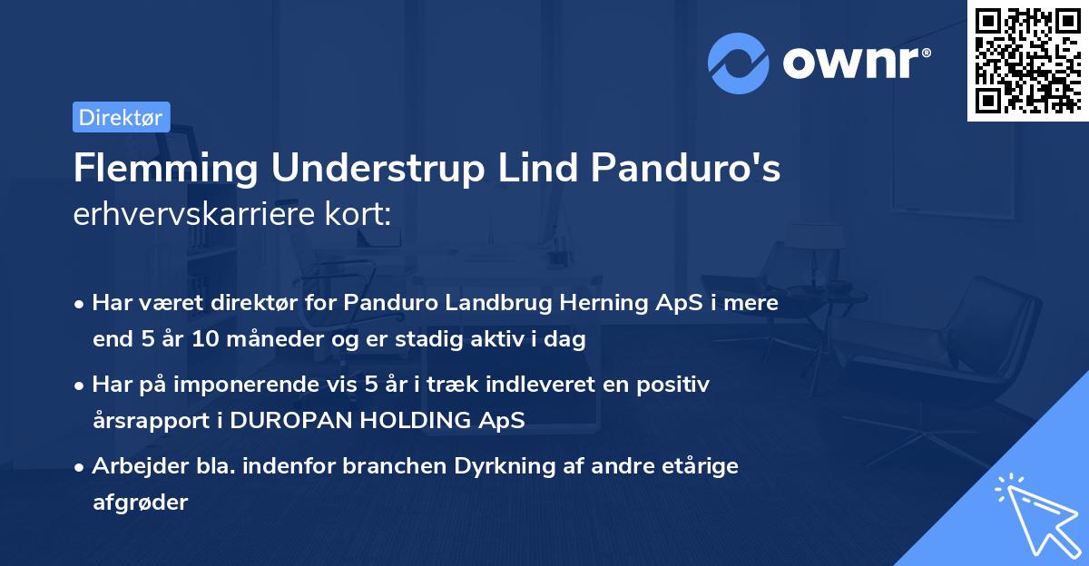 Flemming Understrup Lind Panduro's erhvervskarriere kort