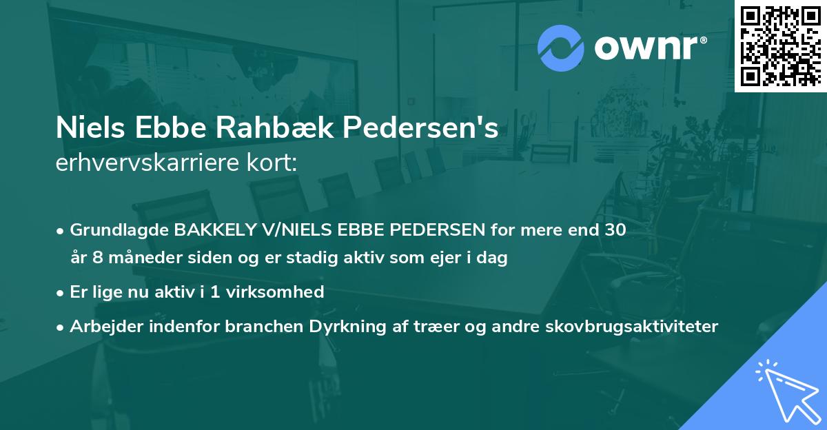Niels Ebbe Rahbæk Pedersen's erhvervskarriere kort