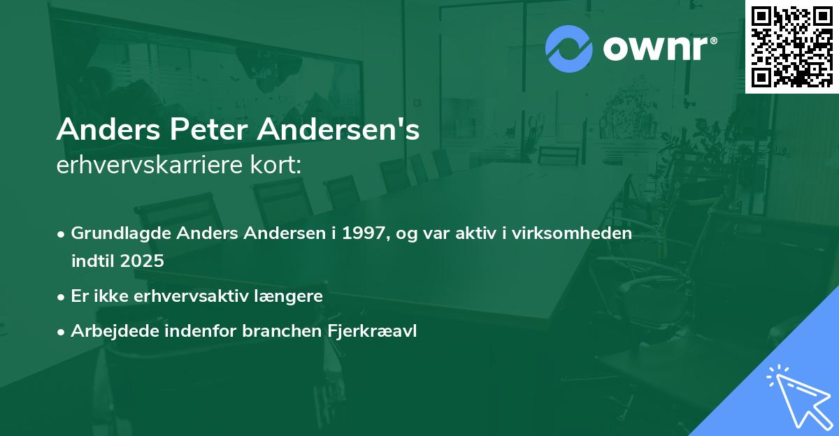 Anders Peter Andersen's erhvervskarriere kort