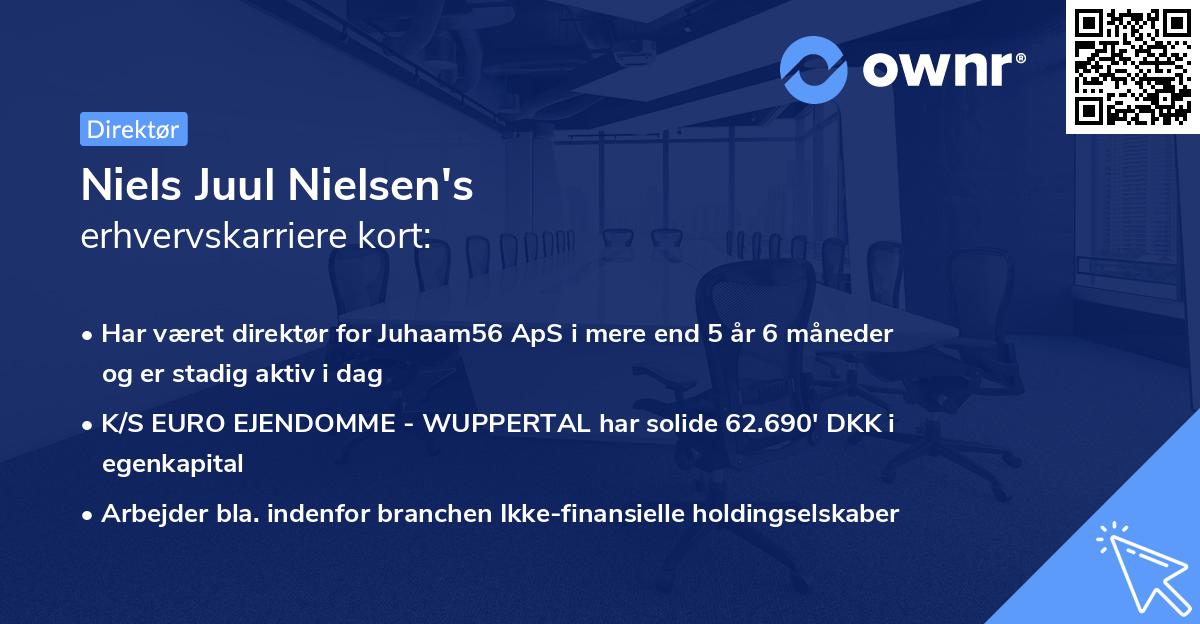 Niels Juul Nielsen's erhvervskarriere kort