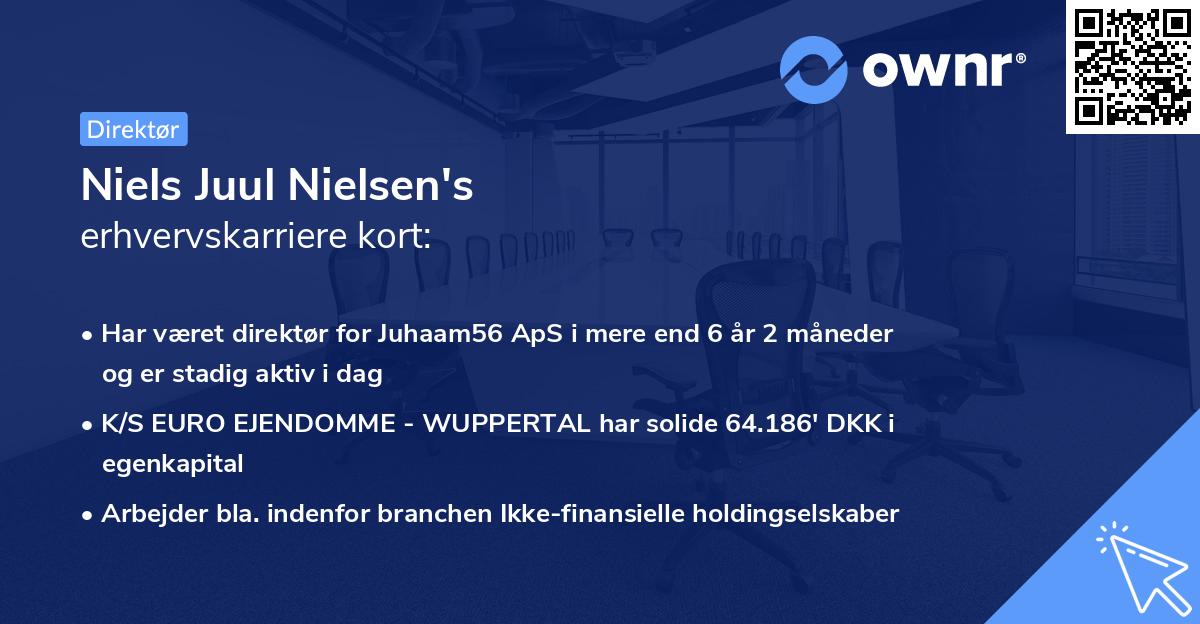 Niels Juul Nielsen's erhvervskarriere kort