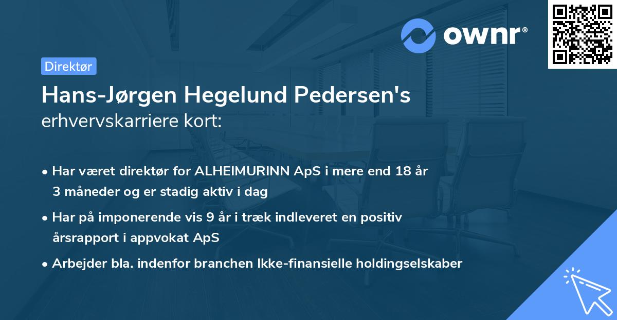 Hans-Jørgen Hegelund Pedersen's erhvervskarriere kort