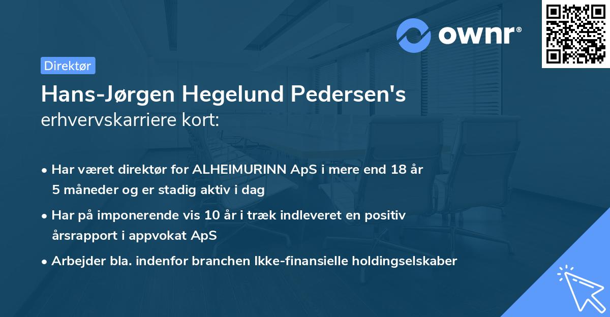 Hans-Jørgen Hegelund Pedersen's erhvervskarriere kort