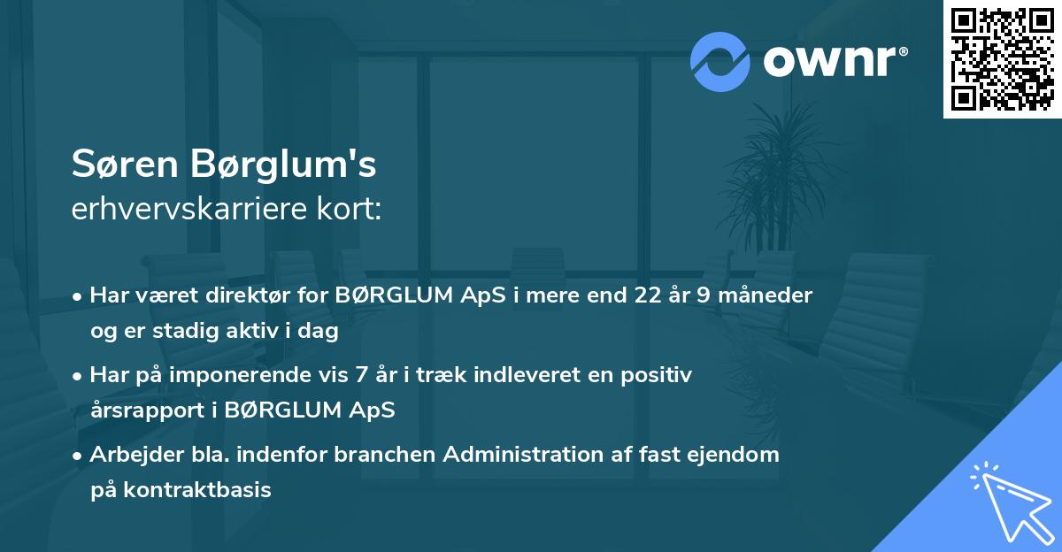Søren Børglum's erhvervskarriere kort