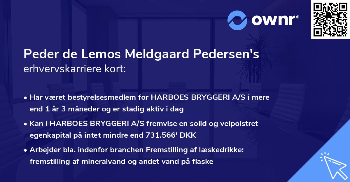 Peder de Lemos Meldgaard Pedersen's erhvervskarriere kort