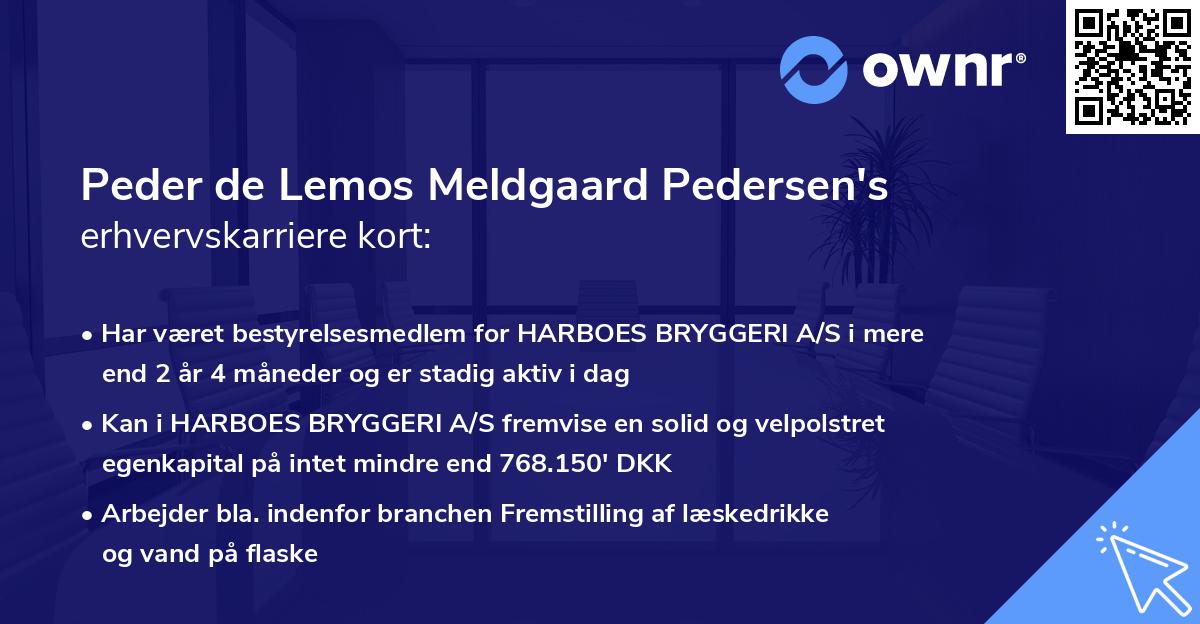Peder de Lemos Meldgaard Pedersen's erhvervskarriere kort