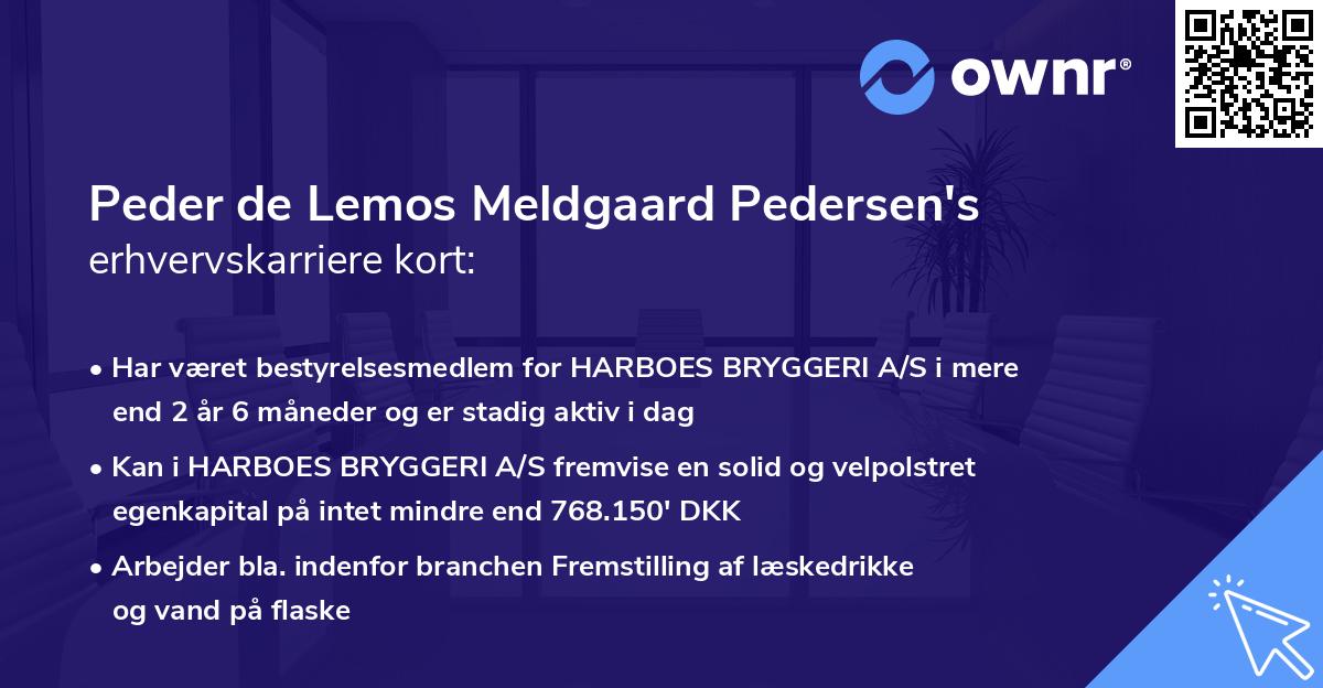 Peder de Lemos Meldgaard Pedersen's erhvervskarriere kort