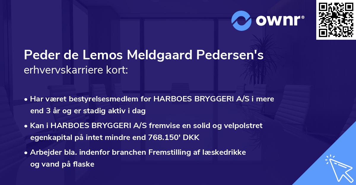 Peder de Lemos Meldgaard Pedersen's erhvervskarriere kort
