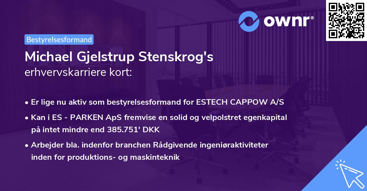 Michael Gjelstrup Stenskrog's erhvervskarriere kort
