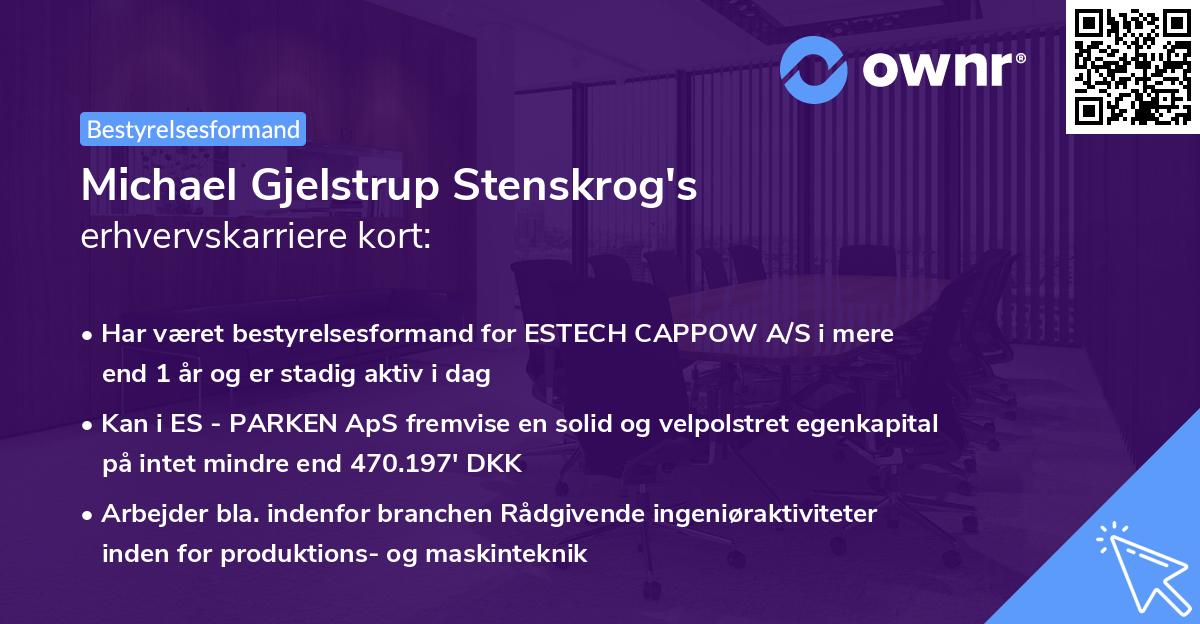 Michael Gjelstrup Stenskrog's erhvervskarriere kort