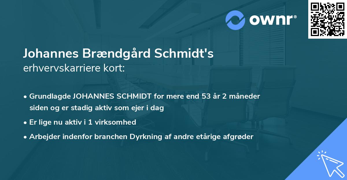 Johannes Brændgård Schmidt's erhvervskarriere kort